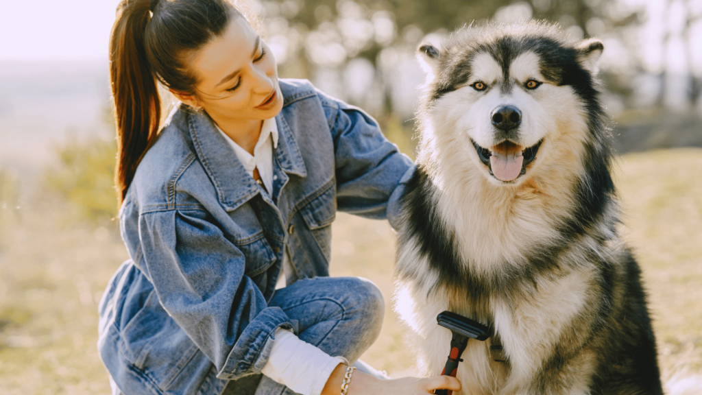 Brushing your pet's coat