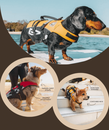 Dog Life Jackets