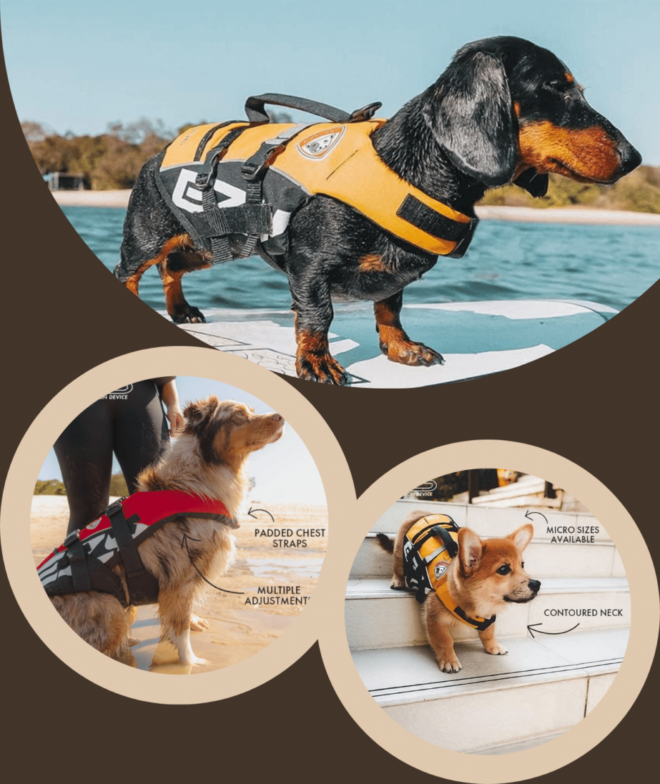 Dog Life Jackets