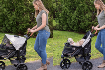 Pet Stroller