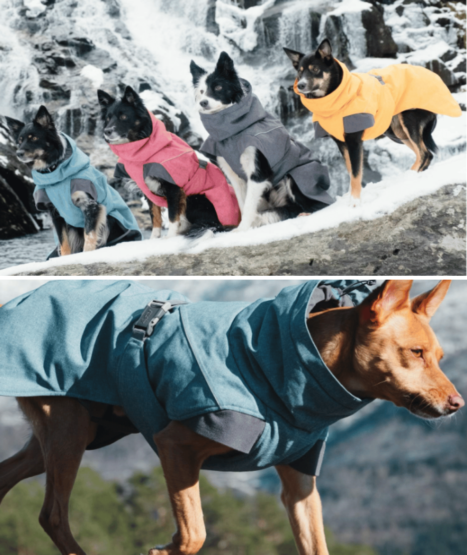 Winter Dog Coat