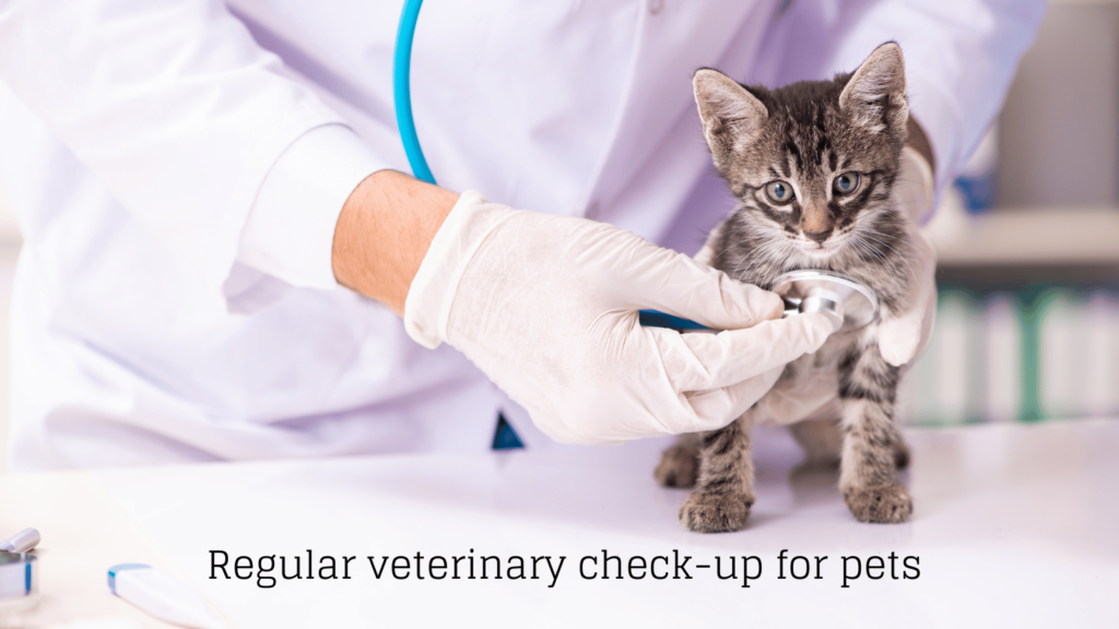 veterinary check up