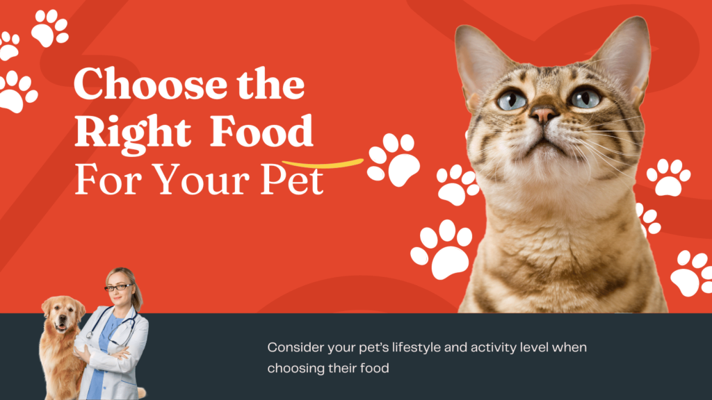 Right Food For Your Pet