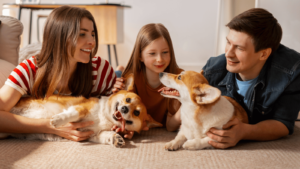 pet adoption tips