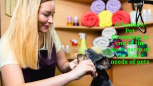 Affordable Pet Grooming Solutions (1)