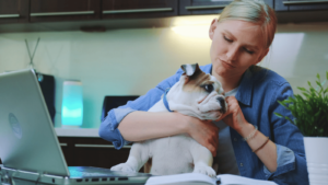 Choosing Pet Insurance