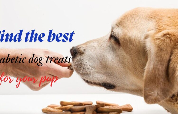 Diabetic dogs treats 1