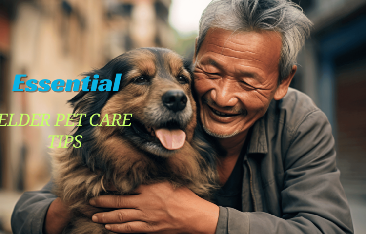 Elder Pet Care