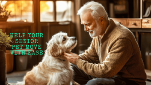 Elderly pet care tips