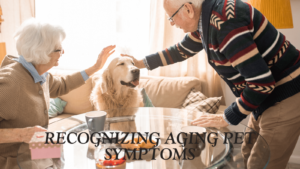 Recognizing Aging Pet Symptoms