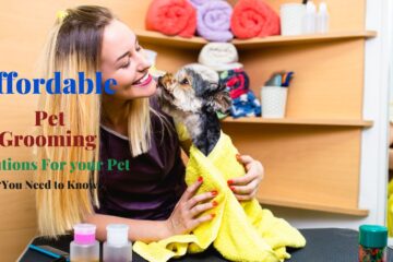 save you money on pet grooming