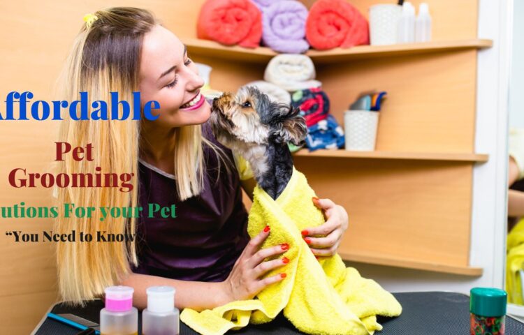 save you money on pet grooming