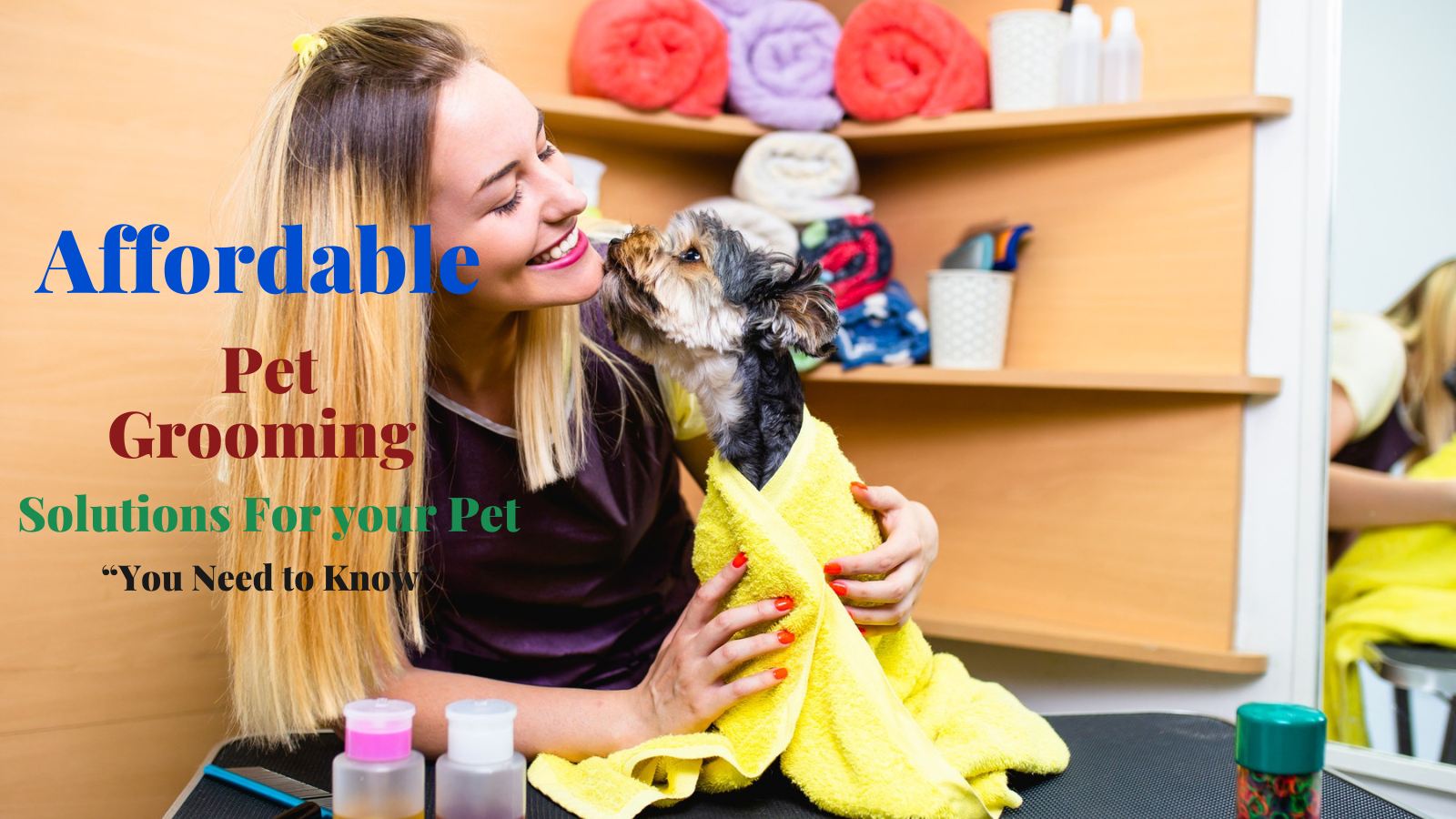 save you money on pet grooming