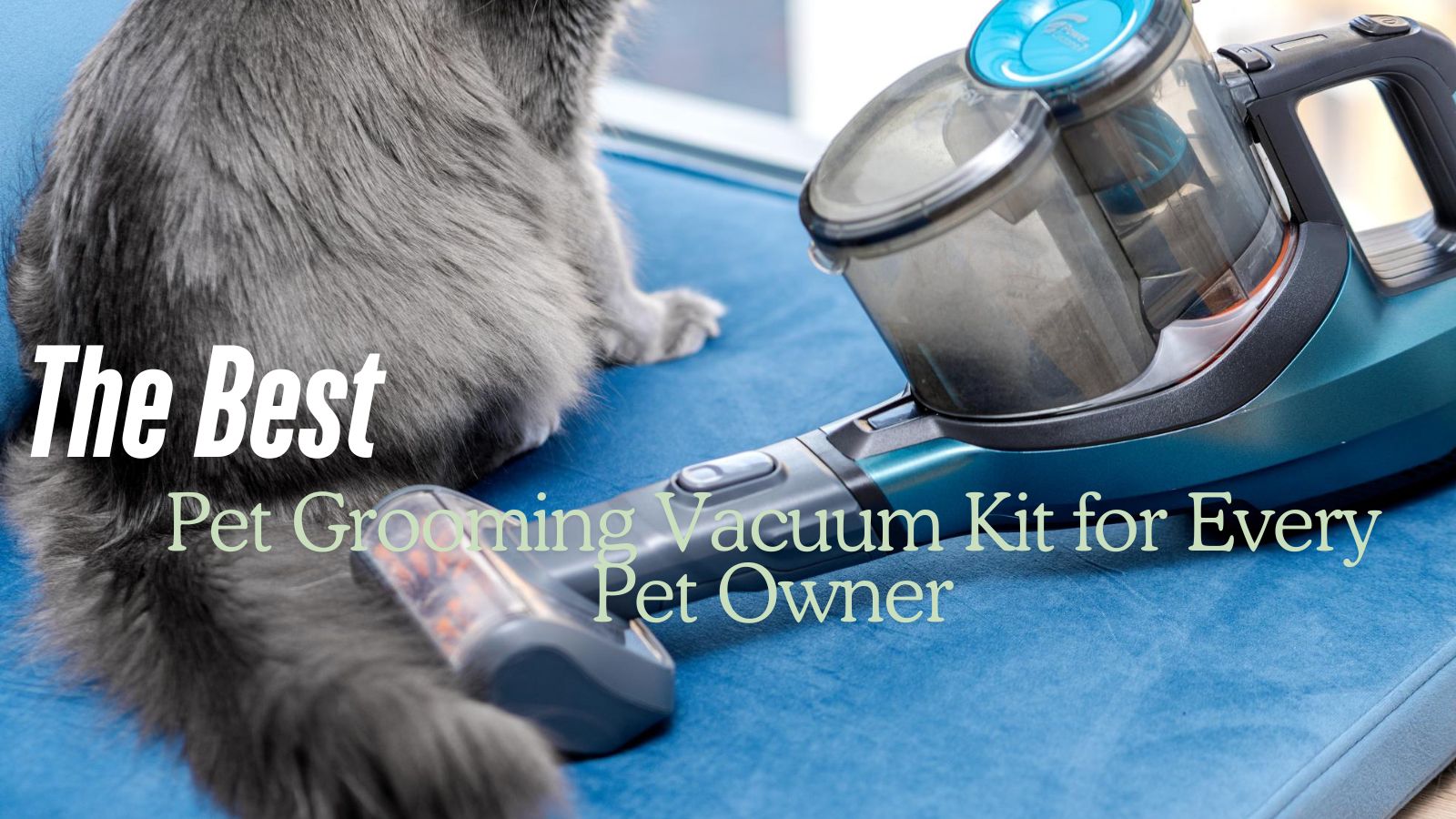 best pet grooming vacuum kit