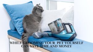 best pet grooming vacuum kit1