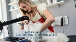 budget-friendly pet grooming