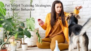 effective pet training methods