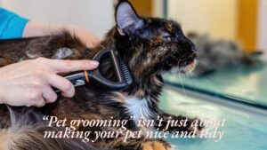 grooming for pets