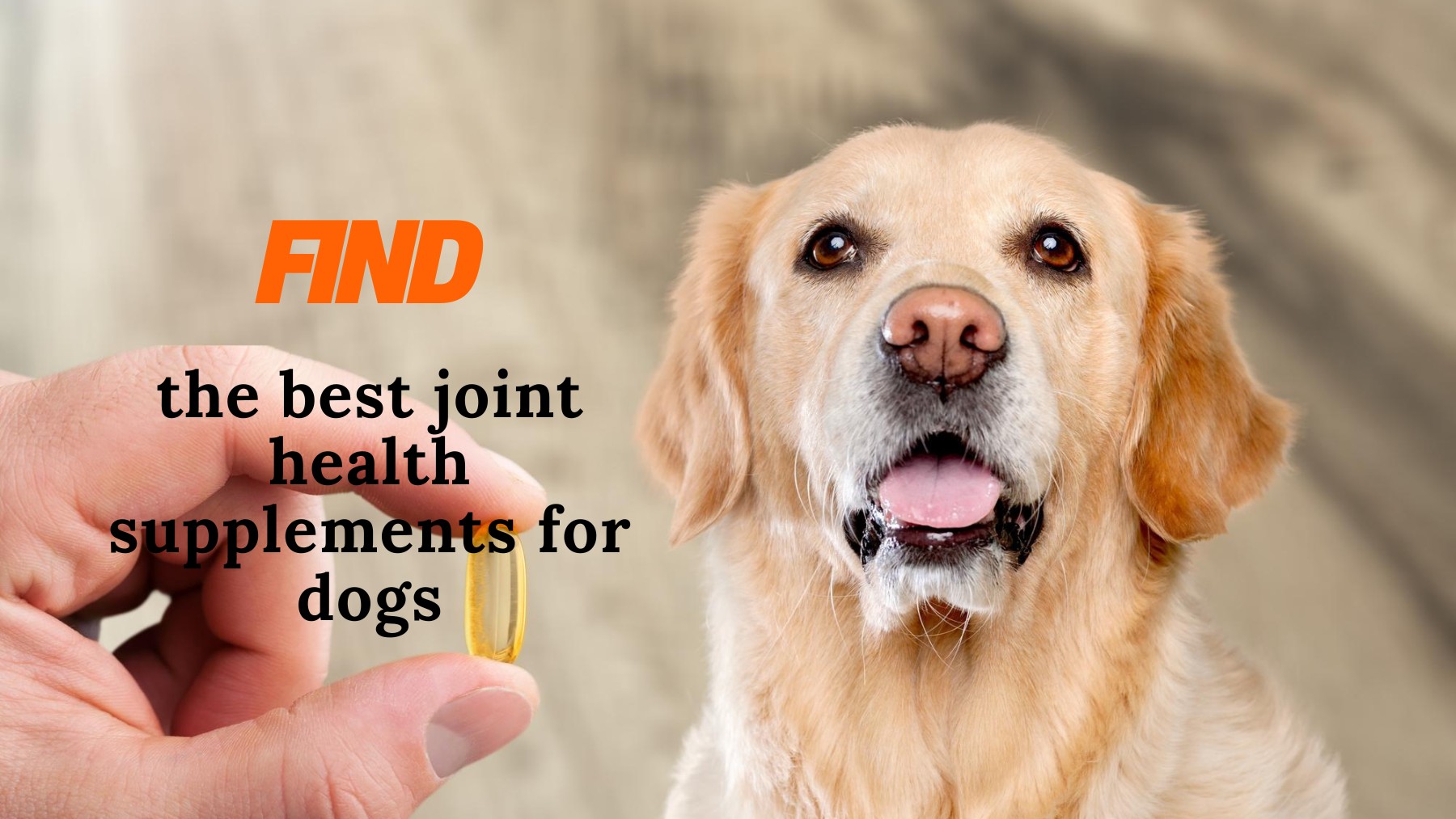 joint health supplements for dogs