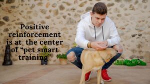 pet behavior training