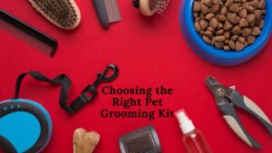 pet grooming kit