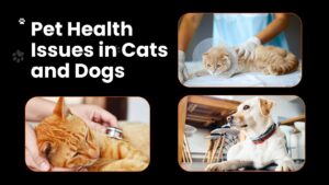 pet health issues-1