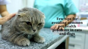 pet health problems