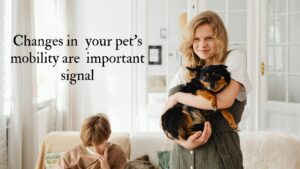 pet nutrition