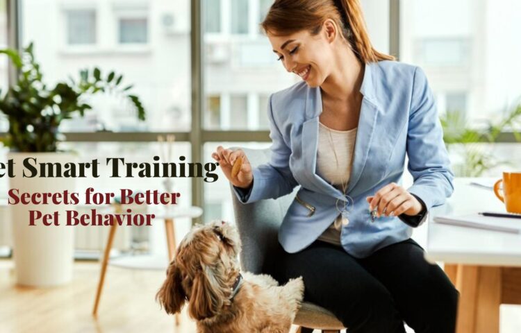 pet smart training 1