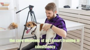 pet smarts training