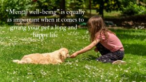 pet wellness routine