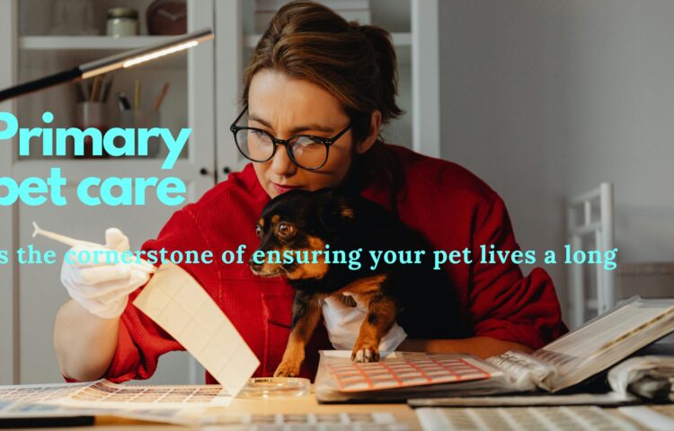 primary pet care