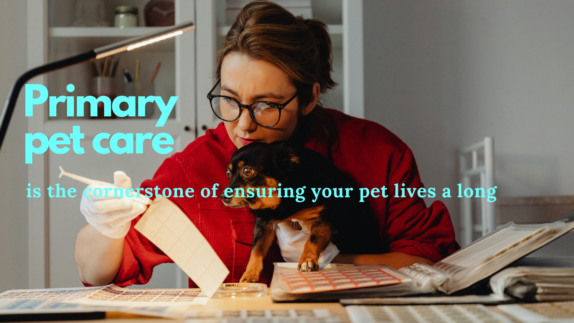 primary pet care