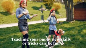 puppy training techniques