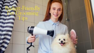 save you money on pet grooming