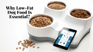 Low-fat dog food