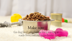 Natural weight loss dog food