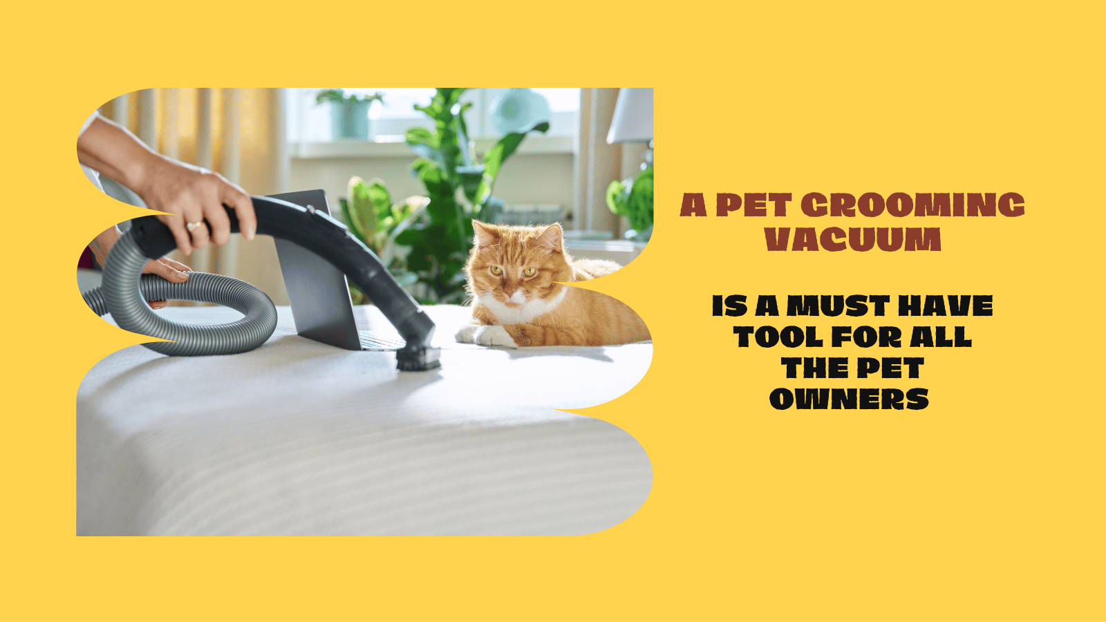 Pet grooming vacuum-1