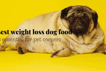 best weight loss dog food