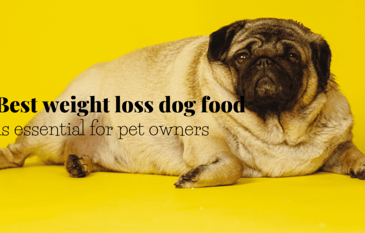 best weight loss dog food