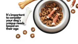 best dog food for joint health