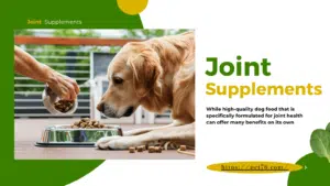dog food for joint health-1