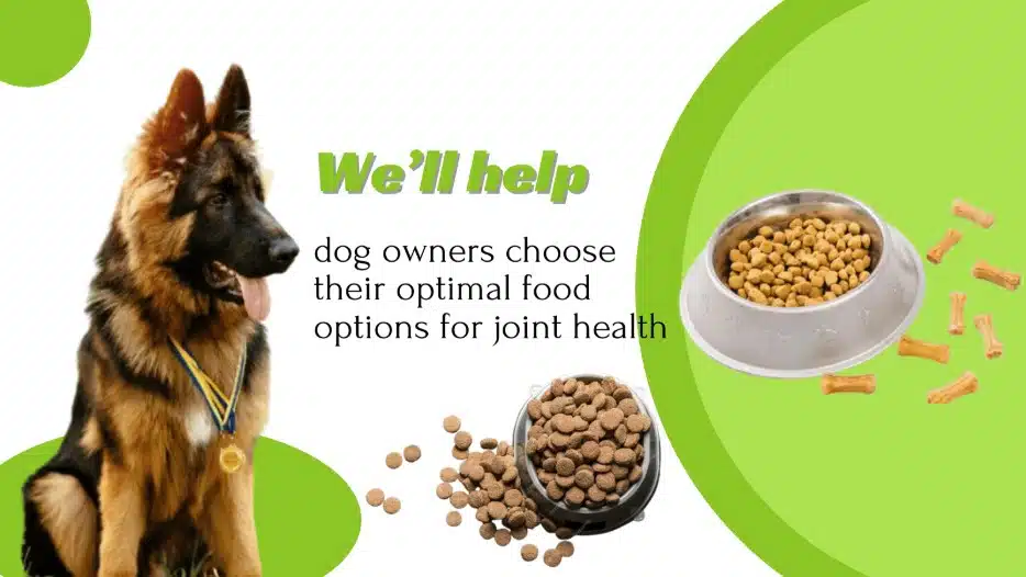dog food for joint health
