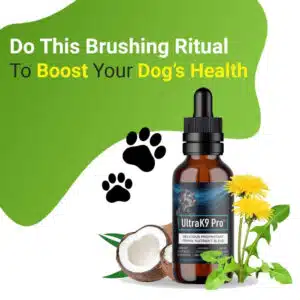 dog foods