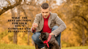 sign your dog with diabetes is dying-1