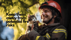 Pet protection