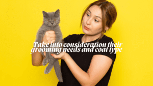 Types of cat fur and coats