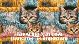cat coat patterns