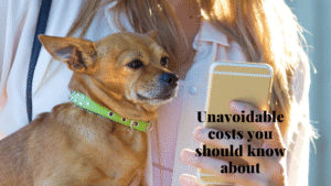 cheap dog breeds