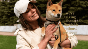 cheap dogs